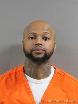 Mugshot of DONTARIO L SNELL