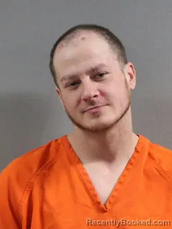 Mugshot of BRANDON LEE MORRIS