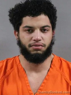 Mugshot of NATHAN MICHAEL FITAK