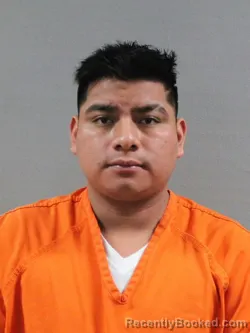 Mugshot of MARCELO BOX MEJIA
