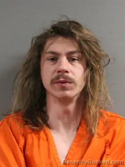 Mugshot of AARON LEE PETERSHEIM