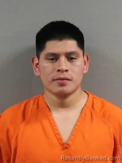 Mugshot of ELIAS EFRAIN VINCENTE PELICO