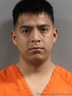Mugshot of FRANCISCO CASTRO