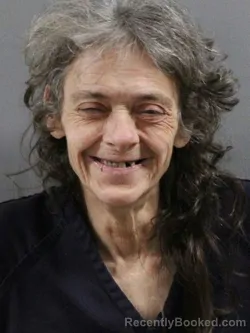 Mugshot of TONI J SNIVELY booked in Tuscarawas County, Ohio on April 29, 2026
