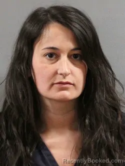 Mugshot of LINDSEY MICHELLE FRANCIS booked in Tuscarawas County, Ohio on May 3, 2026