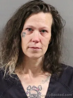 Mugshot of SHAWNA D POWELL booked in Tuscarawas County, Ohio on July 7, 2026
