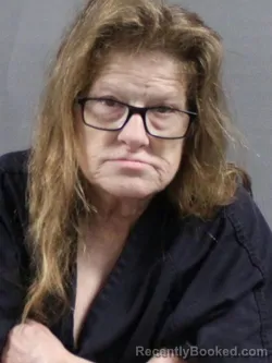 Mugshot of Virginia Ellen Seevers booked in Tuscarawas County, Ohio on August 27, 2026