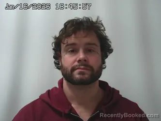 Mugshot of MICHAEL COLLINS