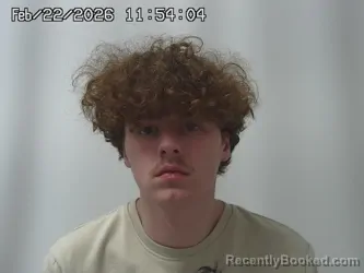 Mugshot of ANDREW WACHS