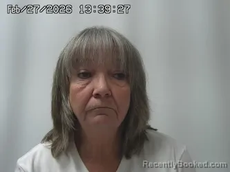 Mugshot of DE VINA MICHAEL