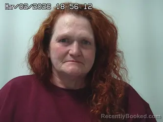 Mugshot of BRANDI HISSOM