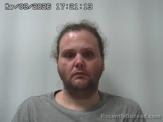 Mugshot of TRAVIS MULLINS