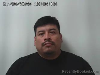 Mugshot of JUAN MENDEZ