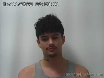 Mugshot of SKYLER LEACH