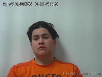 Mugshot of RENEE GARCIA booked in Union County, Ohio on April 18, 2026