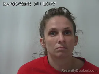 Mugshot of NICHOLE LAFLAMME booked in Union County, Ohio on May 3, 2026