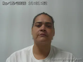 Mugshot of TRISHA JOHNSON booked in Union County, Ohio on May 15, 2026