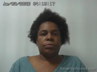 Mugshot of MICHELLE GUDGER booked in Union County, Ohio on June 2, 2026