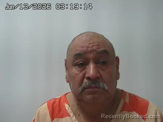 Mugshot of SILVESTINE MARGAYITO booked in Union County, Ohio on June 13, 2026