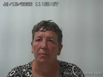 Mugshot of JULIE LANDON booked in Union County, Ohio on July 13, 2026