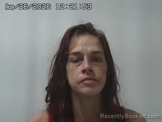 Mugshot of Breann Hartman booked in Union County, Ohio on August 26, 2026