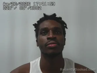 Mugshot of Ali Hussein booked in Union County, Ohio on August 26, 2026