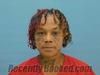 Booking photo from Van Wert County, Ohio
