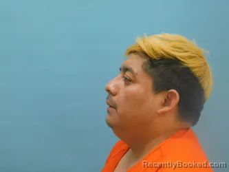 Mugshot of DAVID SANTIZ