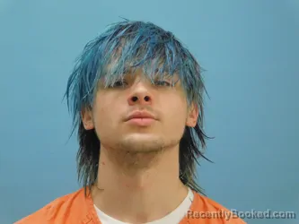 Mugshot of TYLER SPEES