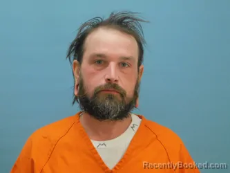 Mugshot of ANTHONY BRANDOLINI