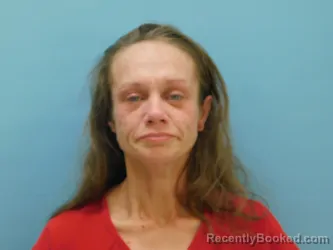 Mugshot of TAWNIE JOHNSON booked in Van Wert County, Ohio on March 26, 2026