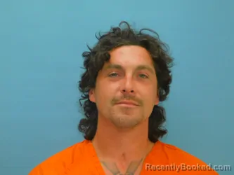 Mugshot of MICHAEL WHISMAN booked in Van Wert County, Ohio on June 11, 2026