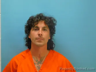 Mugshot of MICHAEL WHISMAN booked in Van Wert County, Ohio on June 20, 2026