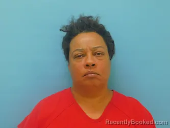 Mugshot of TASHA CANSLER booked in Van Wert County, Ohio on August 2, 2026