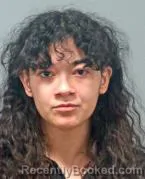 Mugshot of MADELYN SHEA TOMLINSON