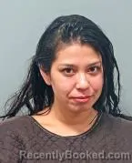 Mugshot of VANESSA MARTINEZ