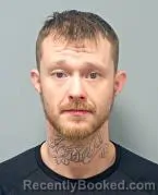 Mugshot of DON DOUGLAS ELLIS booked in Warren County, Ohio on March 10, 2026