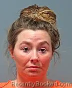 Mugshot of LISA A MELZER