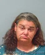 Mugshot of CARRIE L FRYE booked in Warren County, Ohio on July 13, 2026