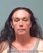 Mugshot of Stephanie A Todd booked in Warren County, Ohio on August 21, 2026