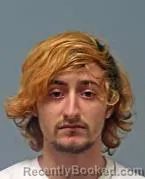 Mugshot of Dillon Ray-Edward Mcelroy booked in Warren County, Ohio on August 27, 2026