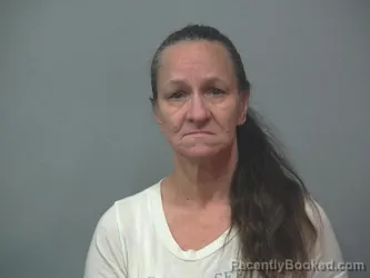 Mugshot of LORI SMETZER