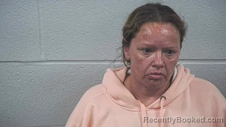Mugshot of Natasha Pritchett booked in Wayne County, Ohio on August 15, 2026
