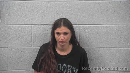 Mugshot of Ashley Hershberger booked in Wayne County, Ohio on October 20, 2026