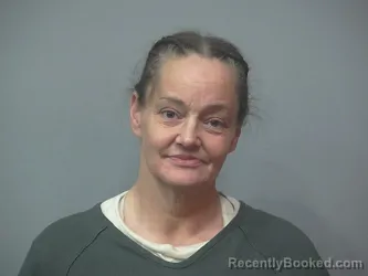 Mugshot of DIANA HANNAHS