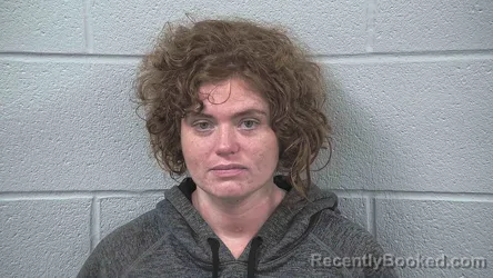 Mugshot of MACAILA HANKINS booked in Wayne County, Ohio on July 28, 2026
