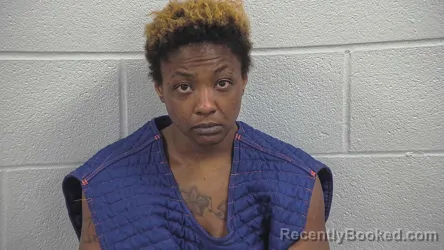 Mugshot of IILEAH LEE booked in Wayne County, Ohio on April 18, 2026