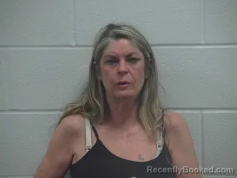 Mugshot of NICOLE FLINN