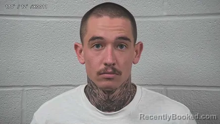 Mugshot of LUTHER CUMMINGS booked in Wayne County, Ohio on May 16, 2026