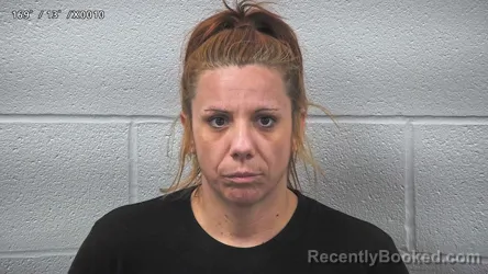 Mugshot of TERESA LUDDENI booked in Wayne County, Ohio on June 26, 2026